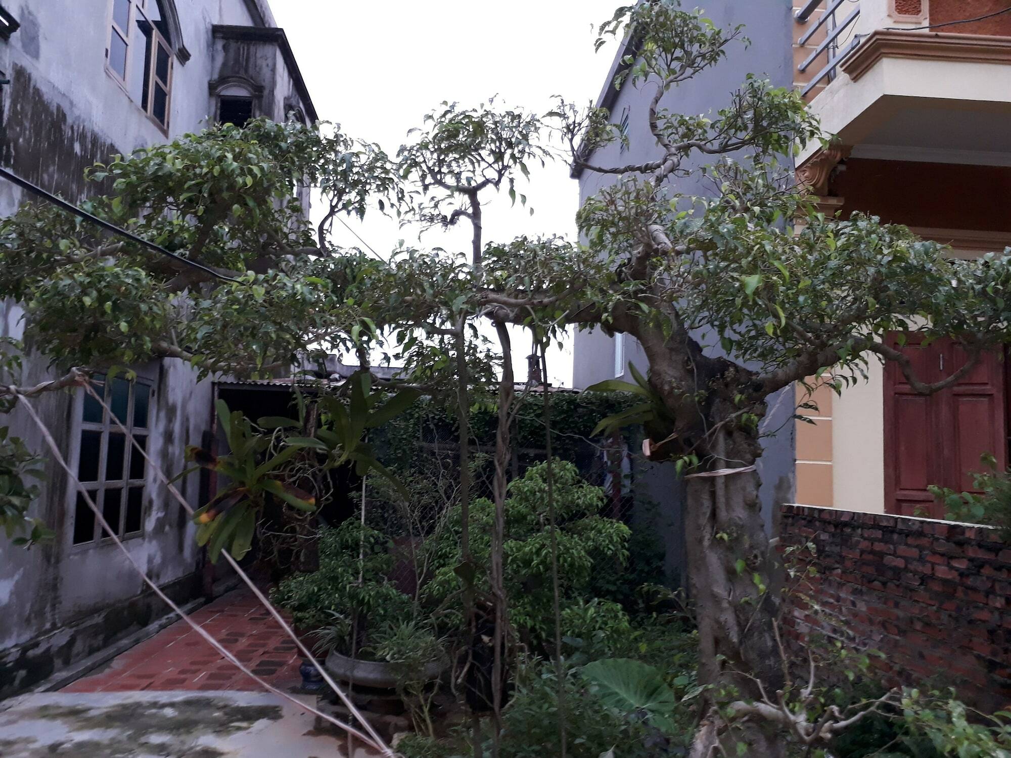 Tam Coc White Swan Homestay Ninh Binh Zewnętrze zdjęcie
